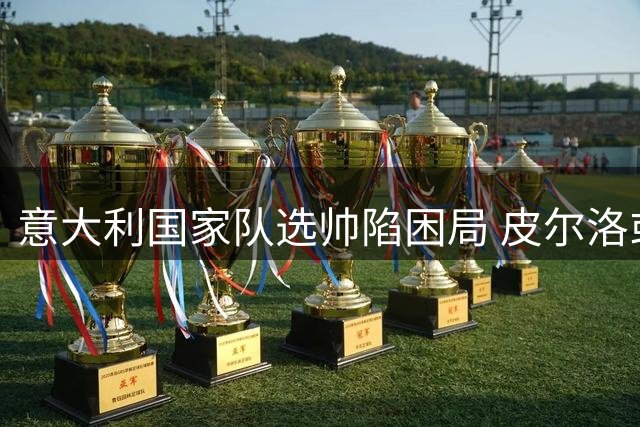 意大利国家队选帅陷困局 皮尔洛或成最终人选