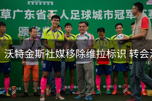 沃特金斯社媒移除维拉标识 转会沙特或进入关键阶段