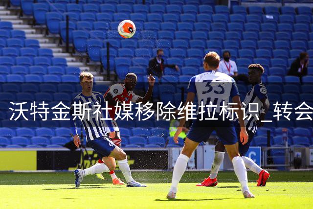 沃特金斯社媒移除维拉标识 转会沙特或进入关键阶段